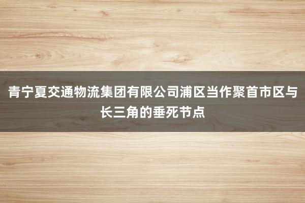 青宁夏交通物流集团有限公司浦区当作聚首市区与长三角的垂死节点